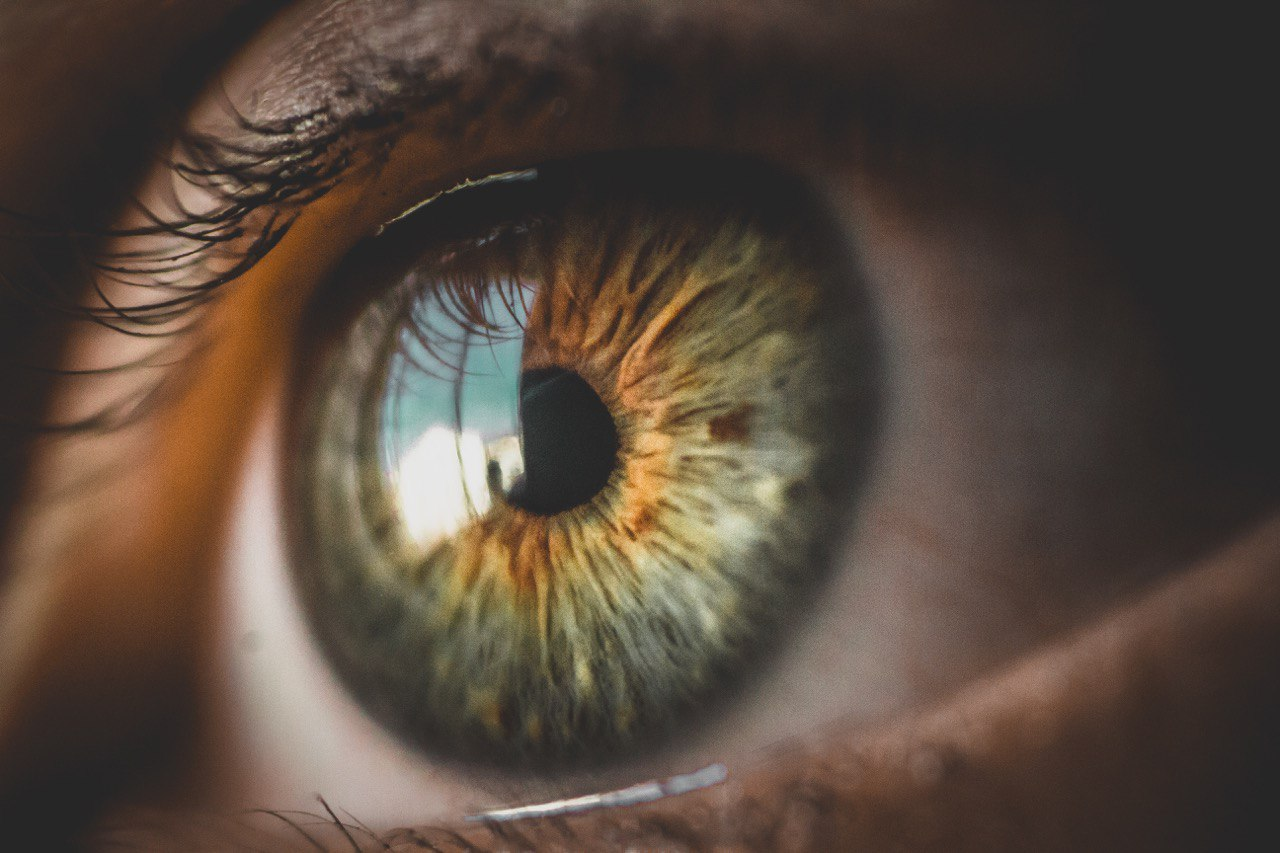 фото: pexels.com
