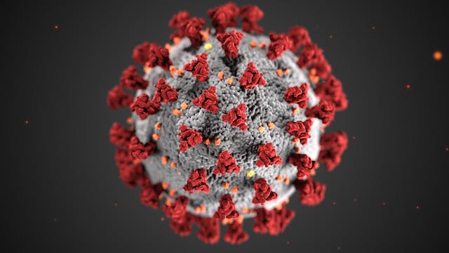 Фото: CDC: https://www.pexels.com/ru-ru/photo/3993212/