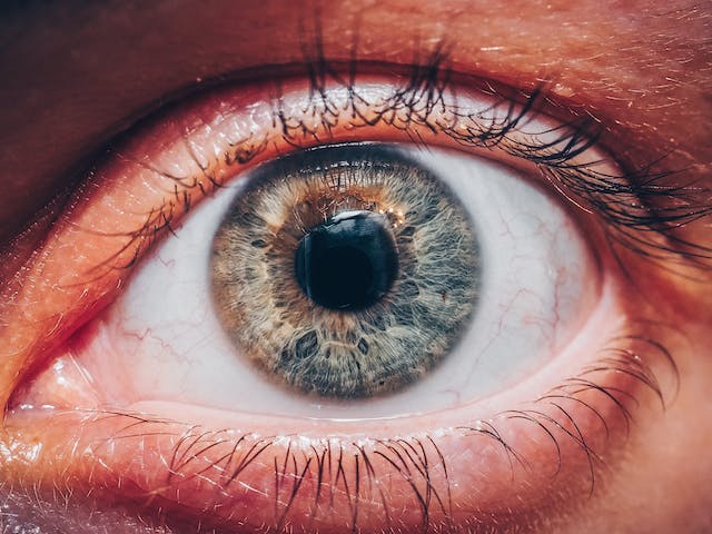 Фото: Leonid Danilov: https://www.pexels.com/ru-ru/photo/4121712/