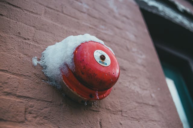 Фото: Erik Mclean: https://www.pexels.com/ru-ru/photo/6390204/