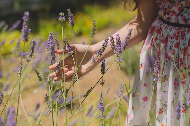 Фото: Anastasiya Lobanovskaya: https://www.pexels.com/ru-ru/photo/792727/