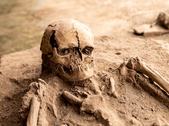 Фото: Boris Hamer: https://www.pexels.com/ru-ru/photo/viminacium-1-2-12-18416943/