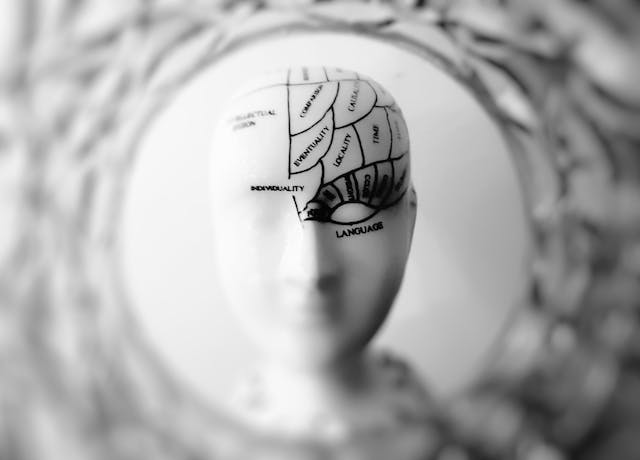 Фото: meo: https://www.pexels.com/ru-ru/photo/724994/