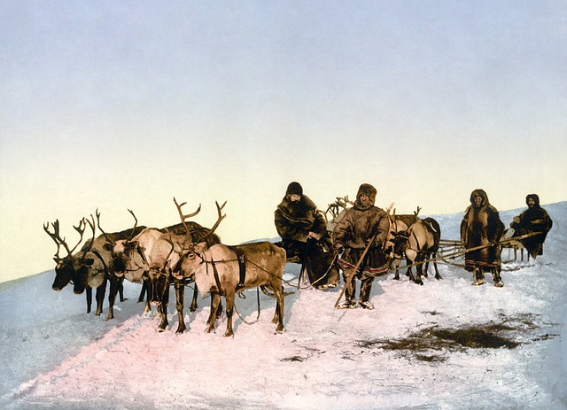 Фото: WikiImages/pixabay.com
