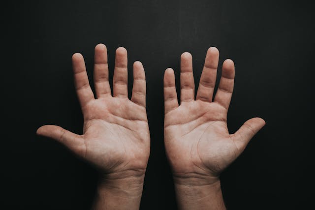 Фото: Luis Quintero: https://www.pexels.com/ru-ru/photo/2258247/