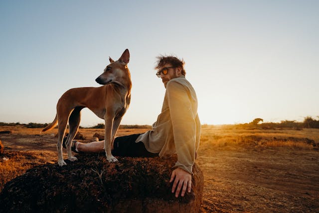 Фото: cottonbro studio: https://www.pexels.com/ru-ru/photo/4430321/