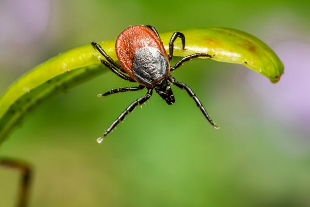 Фото: Thirdman: https://www.pexels.com/ru-ru/photo/7659454/