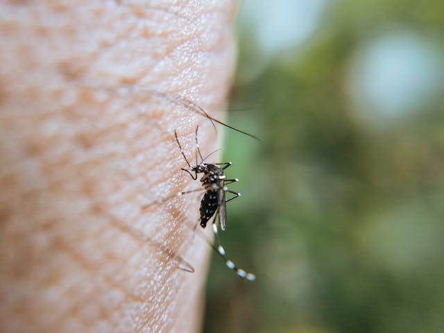 Фото: Ravi Kant: https://www.pexels.com/ru-ru/photo/5254061/