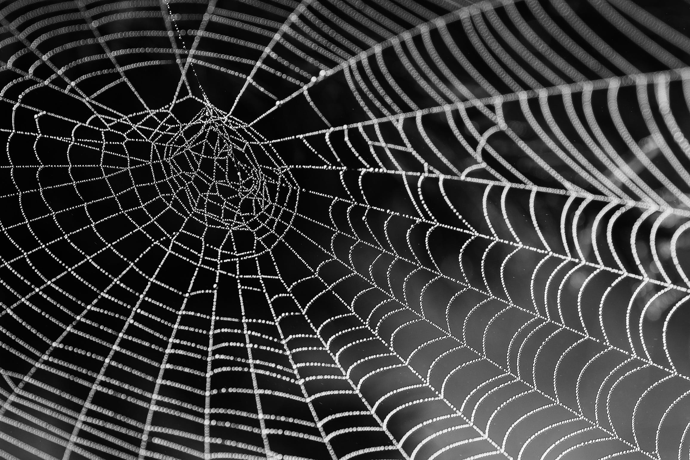 Фото: pexels.com