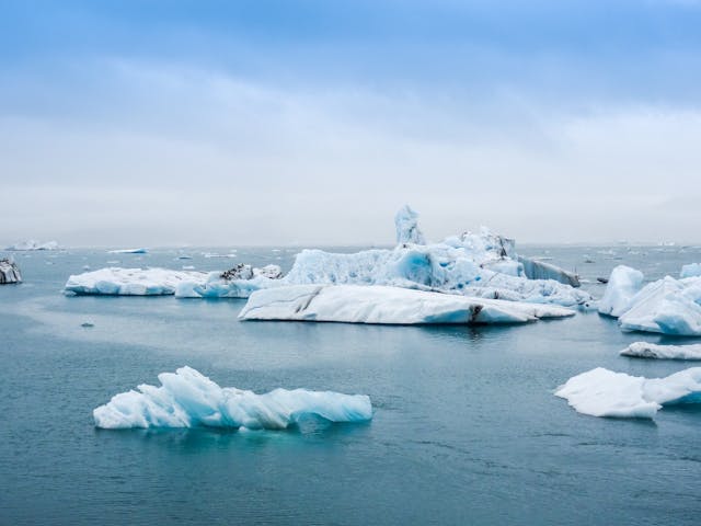 Фото: Guillaume Falco: https://www.pexels.com/ru-ru/photo/2229887/