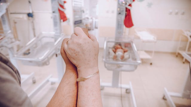Фото: Vidal Balielo Jr.: https://www.pexels.com/ru-ru/photo/4005603/