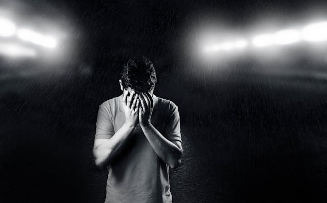 Фото: Daniel Reche: https://www.pexels.com/ru-ru/photo/1556716/