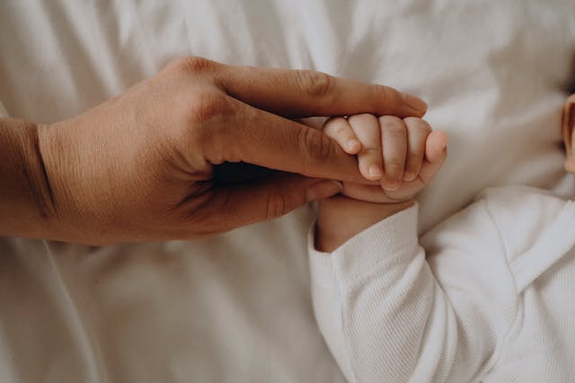 Фото: Dalida Jákli: https://www.pexels.com/ru-ru/photo/31187960/