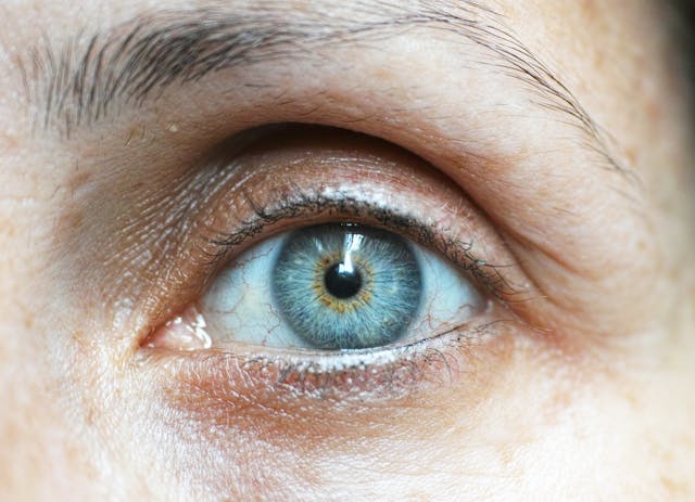 Фото: Engin Akyurt: https://www.pexels.com/ru-ru/photo/1458422/