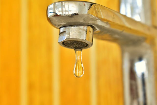 Фото: Nithin PA: https://www.pexels.com/ru-ru/photo/2583028/